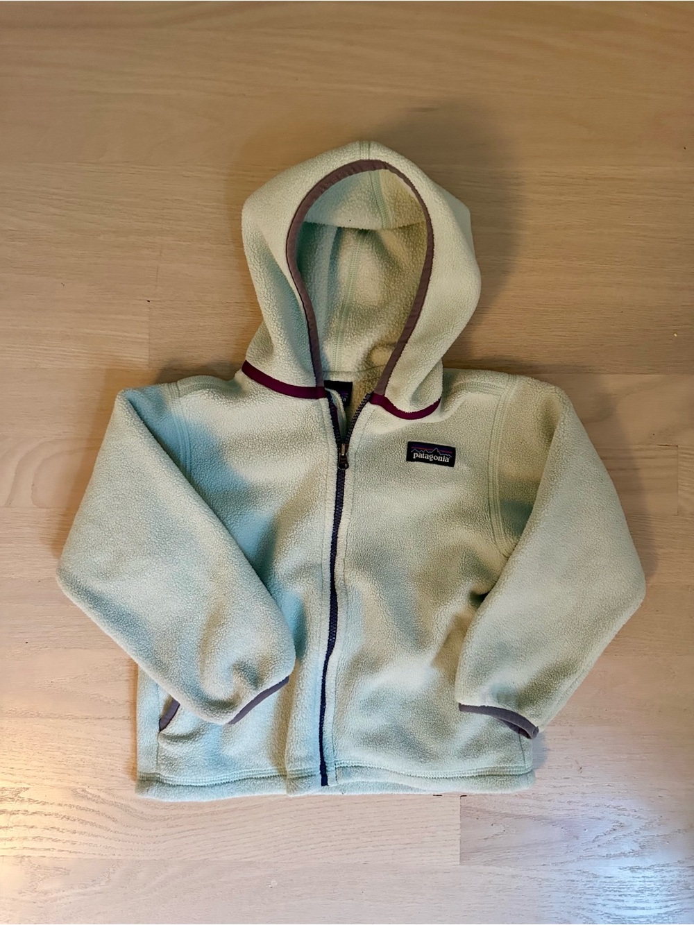 Patagonia Kids Synchilla Fleece Hoodie - Pale Teal with Plum Trim